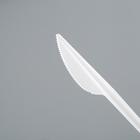 Нож одноразовый "Белый" в индивидуальной упаковке, 16,5 см - Фото 2