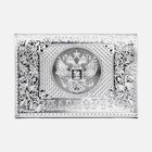 Обложка для паспорта, цвет серебристый - Фото 1