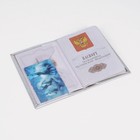 Обложка для паспорта, цвет серебристый - Фото 5