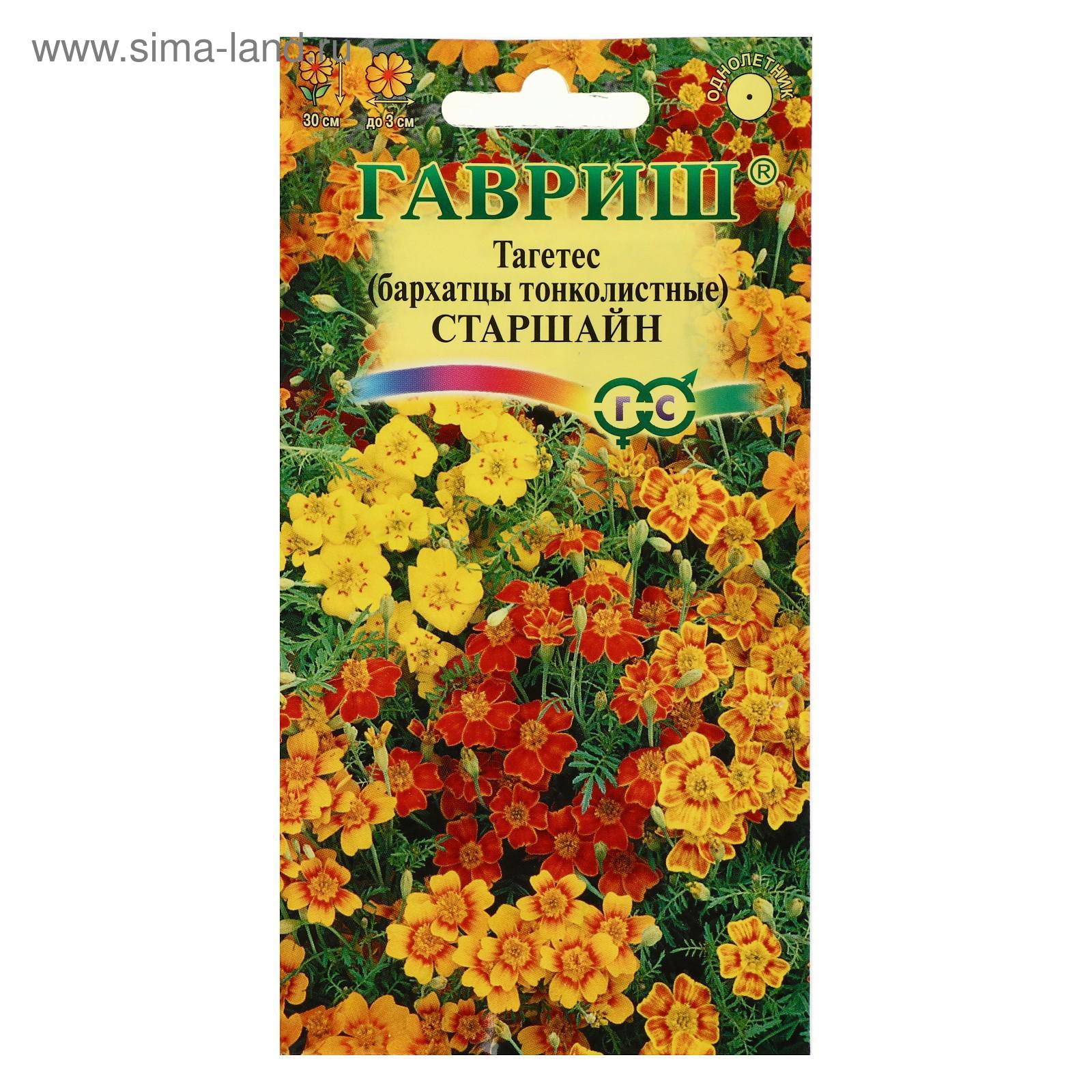 Семена цветов Бархатцы "Старшайн",тонколистные, смесь, 0,05 г (5310229 ...