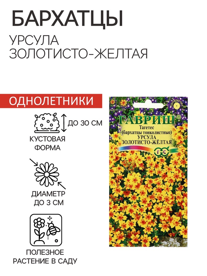 Семена цветов Бархатцы «Урсула золотисто-желтая», ц/п, тонколистные, 0.05 г - Фото 1