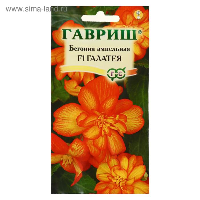 Семена цветов Бегония "Галатея", F1, клубневая, гранулы, 4 шт - Фото 1