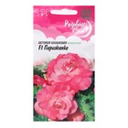 Семена цветов Бегония "Парижанка", F1,  серия Розовые сны, гранулы, 4 шт - фото 11949418