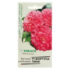 Семена цветов Бегония "Фортуна Пинк", ц/п, F1, клубневая, серия Эксклюзив, гранулы, 4 шт - Фото 1