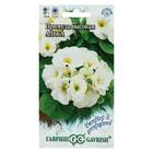 Семена цветов Примула "Альба высокая", ц/п, серия Устойчив к заморозкам, 4 шт - Фото 1