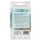 Семена цветов Примула "Альба высокая", ц/п, серия Устойчив к заморозкам, 4 шт - Фото 2