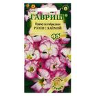 Семена цветов Примула «Роззи с каймой», махровая, серия «Элитная клумба», 3 шт., «Гавриш» - Фото 1