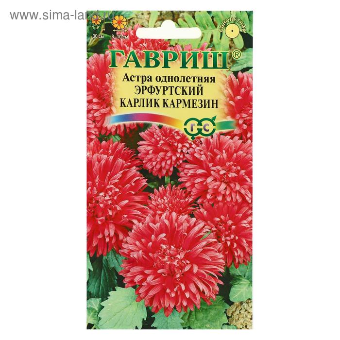 Семена цветов Астра "Эрфуртский карлик Кармезин", однолетняя, красная, 0,3 г - Фото 1