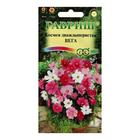 Семена цветов Космея "Вега", ц/п, бело-розовая смесь, 0,5 г - Фото 3