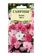 Семена цветов Космея «Вега», бело-розовая смесь, 0.5 г - Фото 5