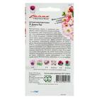 Семена цветов Петуния "Дольче Рим", ц/п, F1, многоцветковая, гранулы, 7 шт - Фото 2