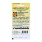 Семена цветов Подсолнечник «Медвежонок», «Гавриш», 0.5 г - Фото 4