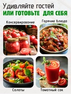 Набор Семена Томатов низкорослые для открытого грунта и теплиц - фото 31402034 Набор Семена Томатов низкорослые для открытого грунта и теплиц - фото 31402034