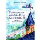 Кристина Кретова: Приключения мышонка Недо в Калининграде, или Квест мышиного короля - фото 295045217