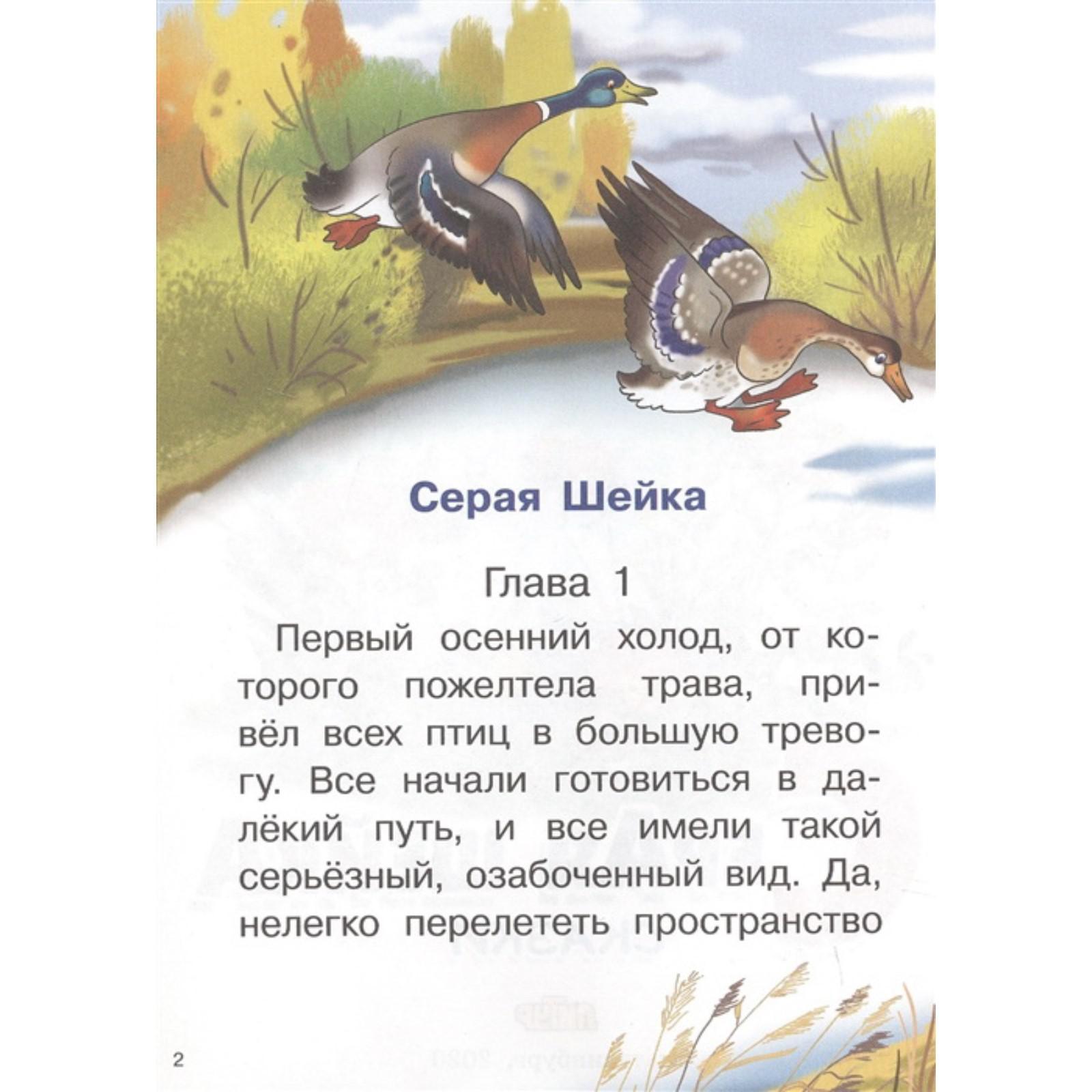 Д мамин сибиряк серая шейка главные герои. Серая шейка. Книга серая шейка мамин сибиряк. Д мамин сибиряк серая шейка главные герои. Мамин-сибиряк серая шейка 5.