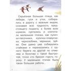 Серая шейка, Мамин-Сибиряк Д. Н. - фото 24396927