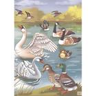 Серая шейка, Мамин-Сибиряк Д. Н. - фото 24396928