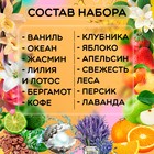 Набор эфирных масел, 3 мл, 12 шт., «Богатство Аромата» - Фото 2