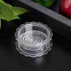 Измельчитель для чеснока Доляна «Хранитель», 8×3 см, МИКС - Фото 2