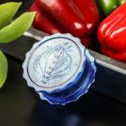 Измельчитель для чеснока Доляна «Хранитель», 8×3 см, МИКС - Фото 3