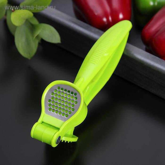 Пресс для чеснока «Леденец», 18 см, цвет МИКС - Фото 1