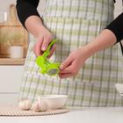 Пресс для чеснока «Леденец», 18 см, цвет МИКС - Фото 6