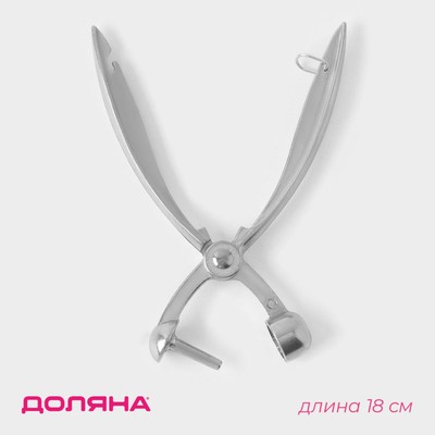 Удалитель косточек Доляна «Любитель», h=18 см