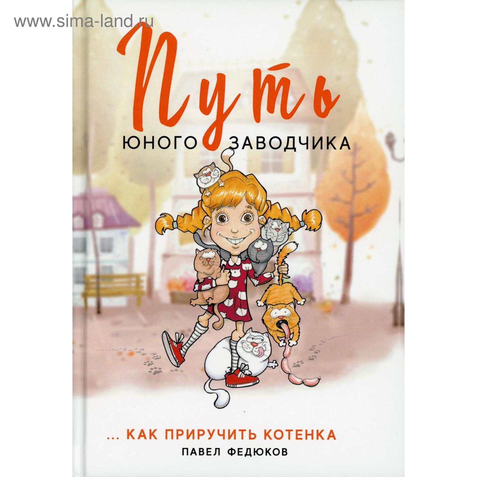 Как приручить котика. Как приручить котенка. книга как приручить кота. как приручить котёнка к имени быстро. как приручить котенка к улице.