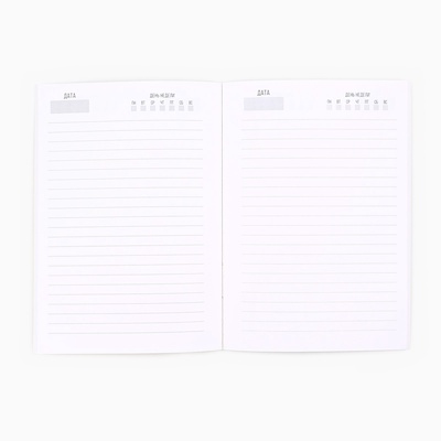 Ежедневник А5, 80 листов, недатированный, в мягкой обложке «23 февраля»