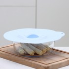 Крышка для хранения Доляна «Симпл», d=21 см, силикон, голубая - Фото 3