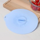 Крышка для хранения Доляна «Симпл», d=21 см, силикон, голубая - Фото 4