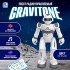 Робот на пульте управления IQ BOT GRAVITONE, радиоуправление, интерактивный, русское озвучивание, цвет серый - Фото 1