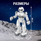 Робот на пульте управления IQ BOT GRAVITONE, радиоуправление, интерактивный, русское озвучивание, цвет серый - Фото 2