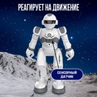 Робот радиоуправляемый IQ BOT GRAVITONE, русское озвучивание, цвет серый - фото 8902244