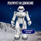 Робот на пульте управления IQ BOT GRAVITONE, радиоуправление, интерактивный, русское озвучивание, цвет серый - Фото 8