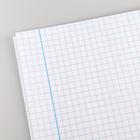 Тетрадь в клетку 12 листов, 5 видов МИКС, обложка мелованный картон, «Коты аристократы» - Фото 2