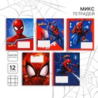 Тетрадь в клетку 12 листов, 5 видов МИКС, обложка мелованный картон, Человек-паук - Фото 1