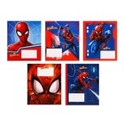 Тетрадь в клетку 12 листов, 5 видов МИКС, обложка мелованный картон, «Человек-паук» - Фото 3