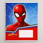 Тетрадь в клетку 12 листов, 5 видов МИКС, обложка мелованный картон, Человек-паук - Фото 4
