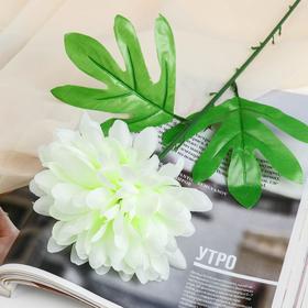 Цветы искусственные 'Пион садовый' d-14 см 46 см, белый