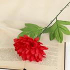 Цветы искусственные "Пион садовый" 46 см, d-14, красный - Фото 1