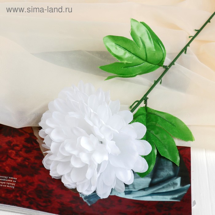 Цветы искусственные«Пион», h=47 см, d=16 см, белые - Фото 1