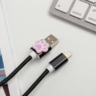 Набор: держатель для провода и кабель USB iPhone «Кот», 1 м - Фото 5