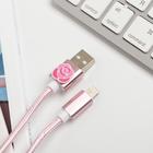 Набор: держатель для провода и кабель USB iPhone «Самой особенной», 1 м - Фото 5