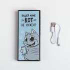 Зарядное устройство «Вашей маме кот не нужен?», 6000 mAh, 6,2 х 14 см - Фото 7