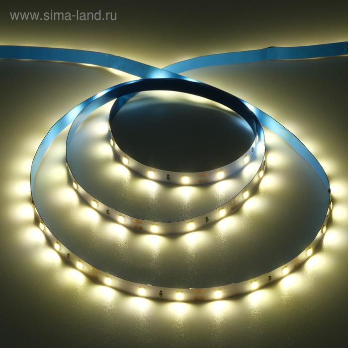 Светодиодная лента Ecola PRO 5 м, IP20, SMD3528, 60 LED/м, 4.8 Вт/м, 12 В, 2800К - Фото 1