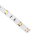 Светодиодная лента Ecola PRO, 12В, SMD5050, 5 м, IP20, 7.2Вт/м, 30 LED/м, 2800К - Фото 3