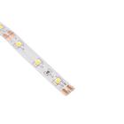 Светодиодная лента Ecola PRO 5 м, IP20, SMD2835, 60 LED/м, 8 Вт/м, 12 В, 2800К - Фото 3