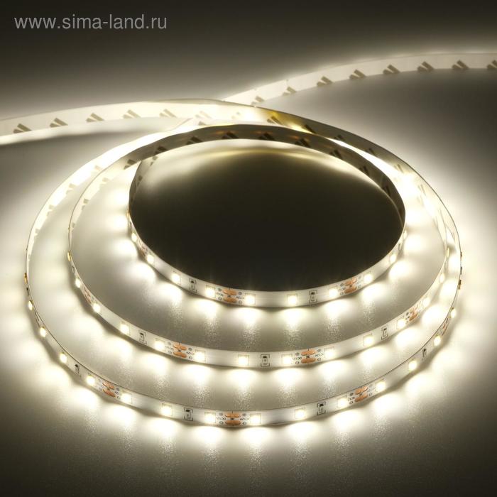 Светодиодная лента Ecola PRO 5 м, IP20, SMD2835, 60 LED/м, 8 Вт/м, 12 В, 4200К - Фото 1