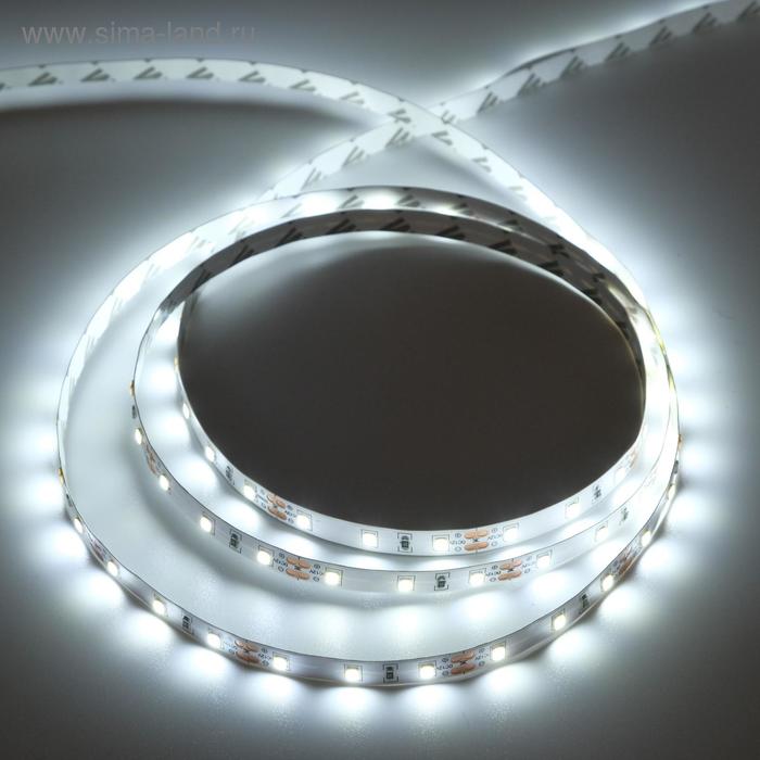 Светодиодная лента Ecola PRO 5 м, IP20, SMD2835, 60 LED/м, 8 Вт/м, 12 В, 6000К - Фото 1